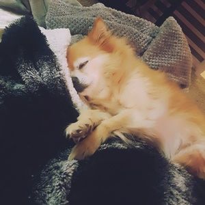 Meet your Posher, Brianna